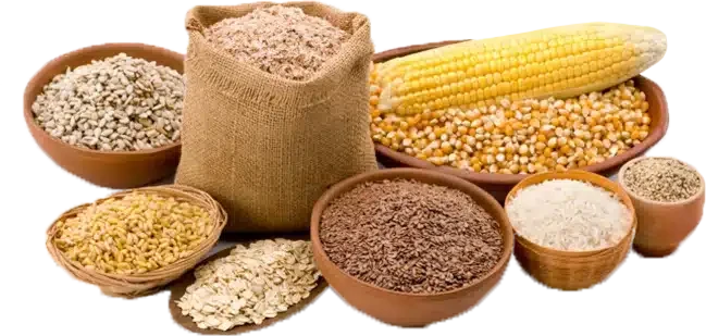 Household & Essentials